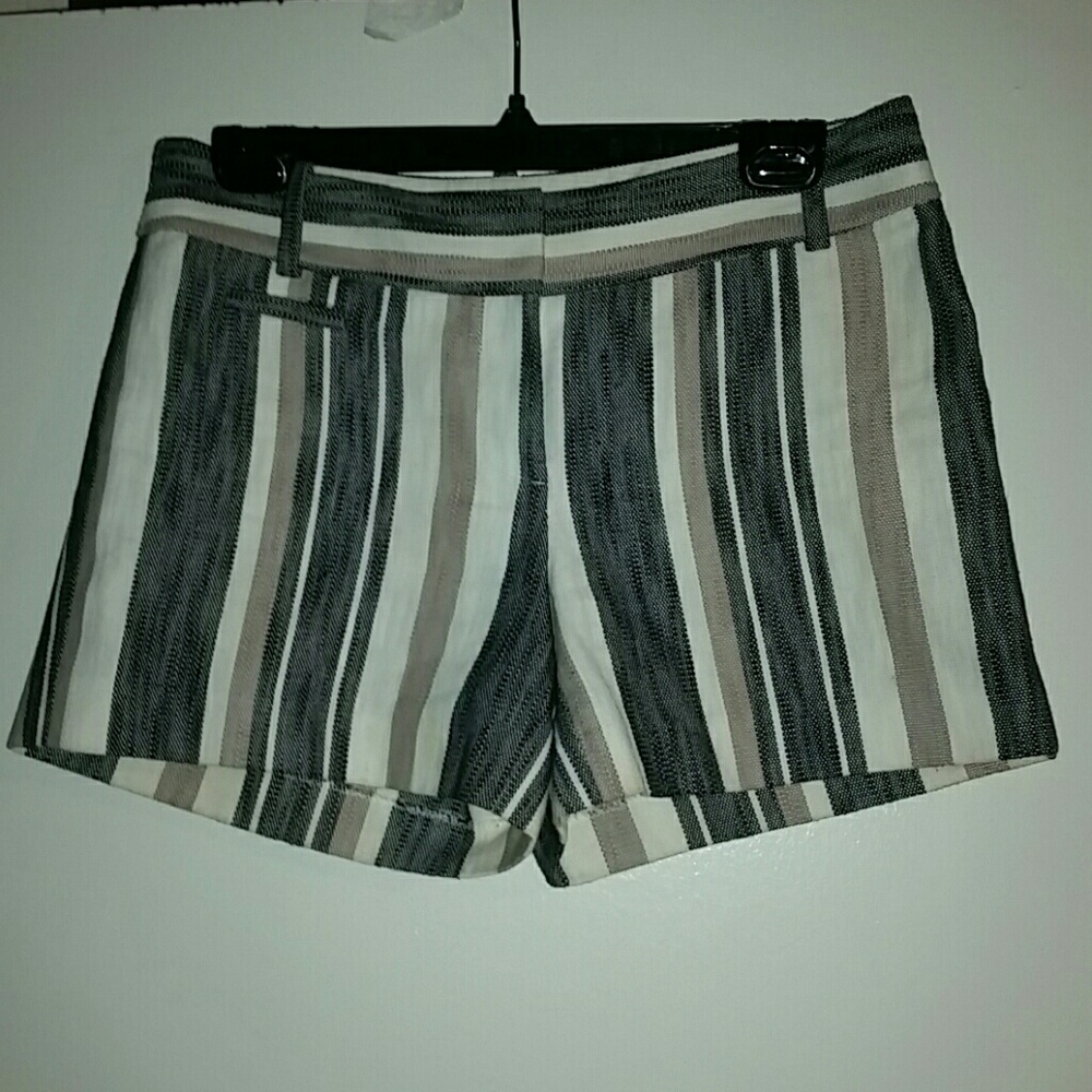 Ann Taylor Loft Shorts